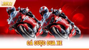 Cá Cược Đua Xe