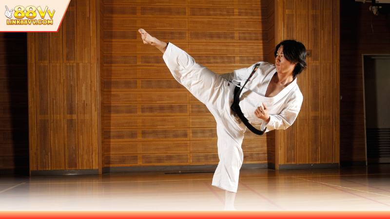 Các bộ môn được sử dụng trên đấu trường