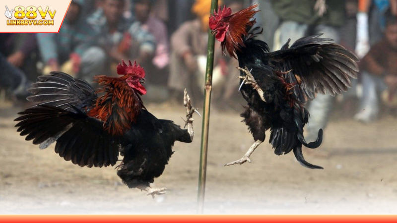 Quy định để tham gia đặt cược tại sân chơi