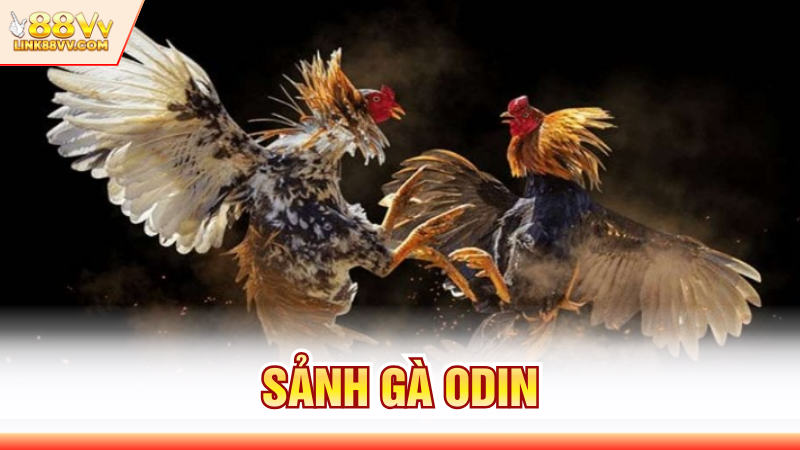 Sảnh Gà ODIN